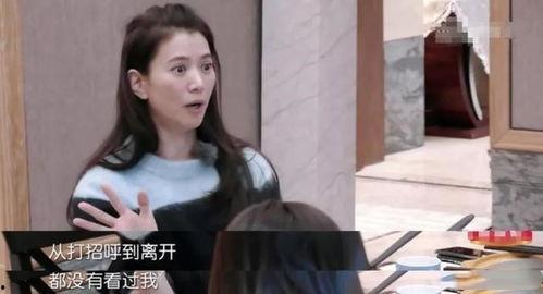 袁咏仪爆料女演员视频,女演员视频曝光背后的真相  第2张